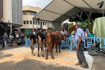 Los Llanos celebra el día grande de sus fiestas (Foto TA)